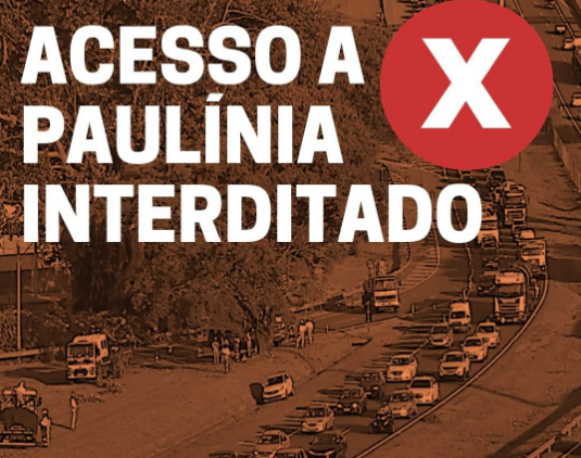 Rod. Campinas-Paulínia está interditada para retirada de árvore