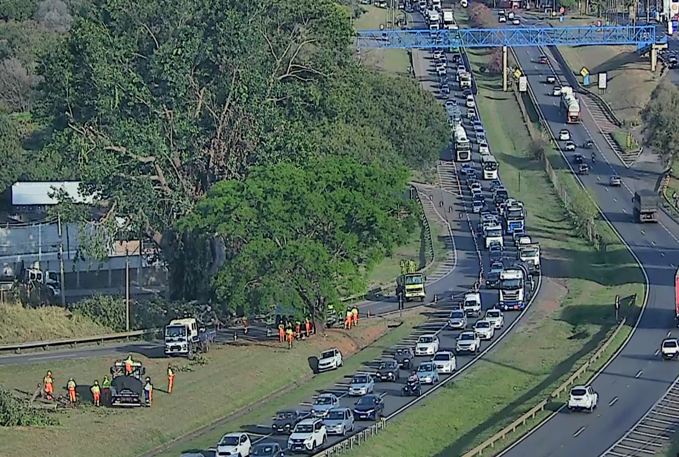 Rota das Bandeiras vai fechar acesso a Paulínia às 9h