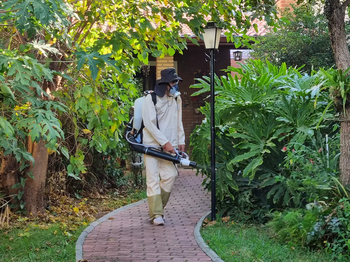 Americana confirma 8ª morte por dengue este ano