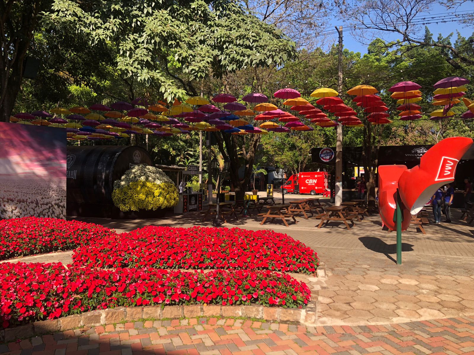 Expoflora é retomada com expectativa de receber 240 mil pessoas