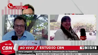 A organização da Expoflora