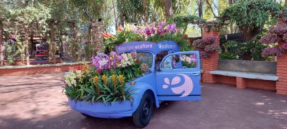 Programação da CBN Campinas "inaugura" Expoflora 2022