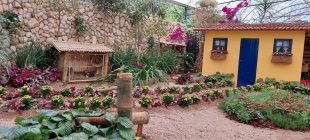 Programação da CBN Campinas "inaugura" Expoflora 2022