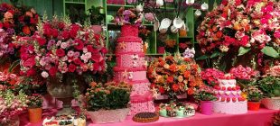 Programação da CBN Campinas "inaugura" Expoflora 2022