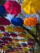 Programação da CBN Campinas "inaugura" Expoflora 2022