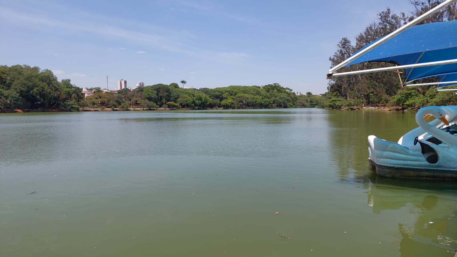 Cor esverdeada da água no Taquaral chama a atenção de frequentadores