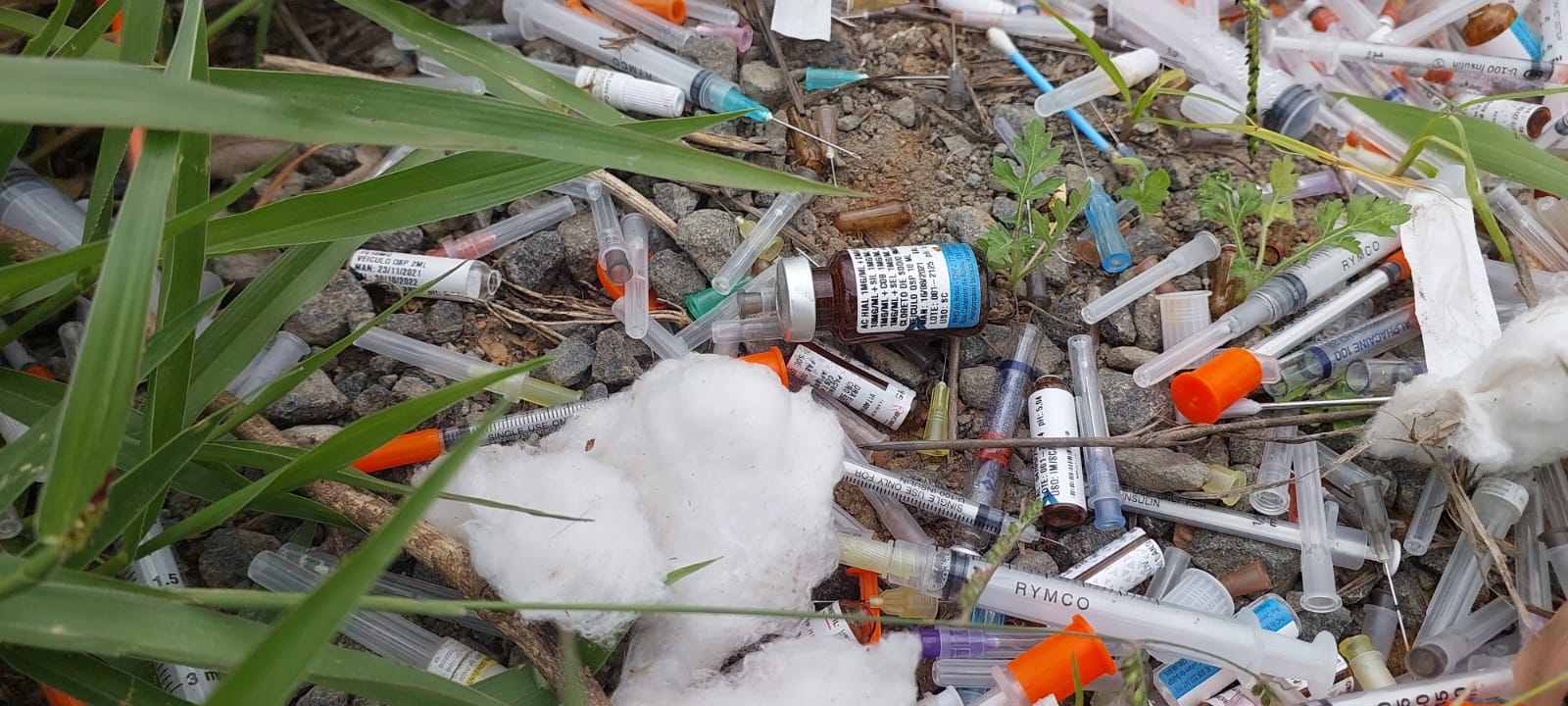 Agulhas e seringas são descartadas na Avenida Ruy Rodriguez