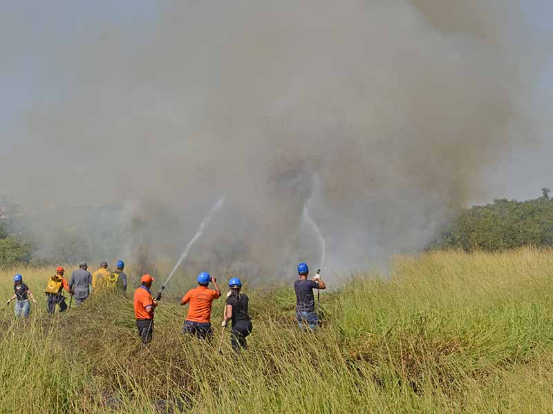 Operação Estiagem: Focos de incêndio caem 50% em Campinas este ano