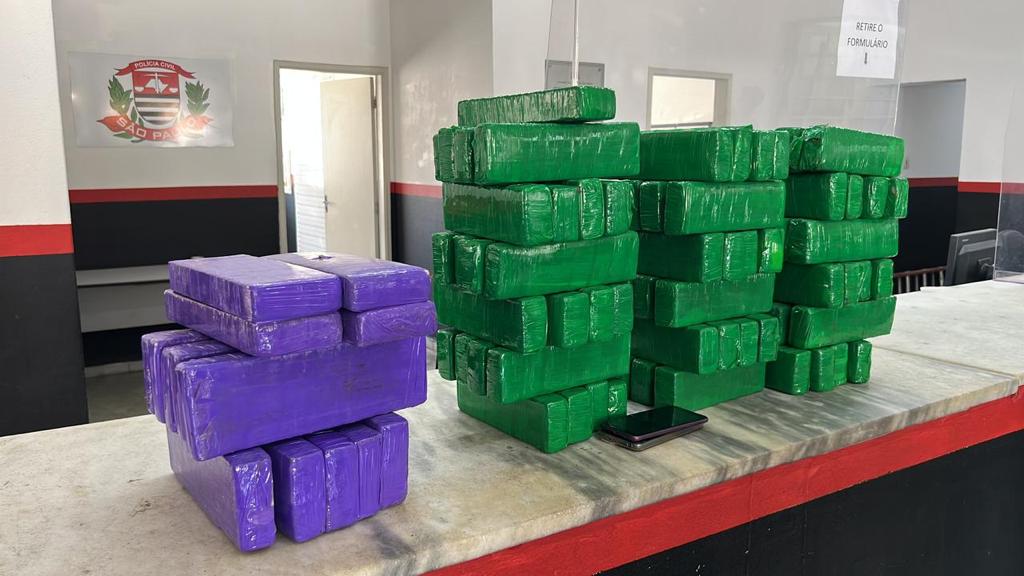 GM de Campinas apreende 65kg de maconha na Rodoviária