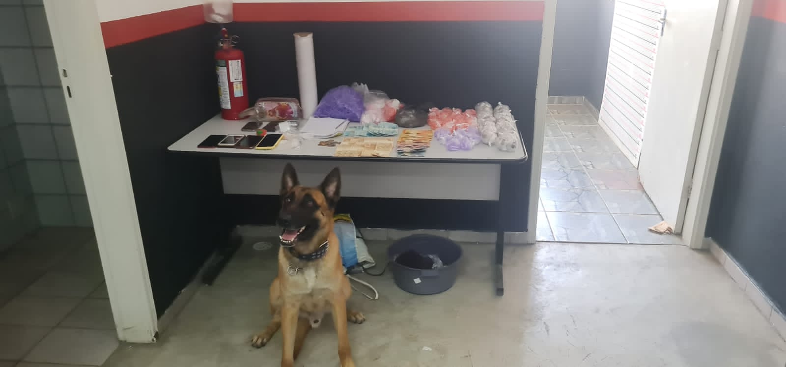 Quatro são detidos pela GM, no Jd. Paranapanema, em Campinas