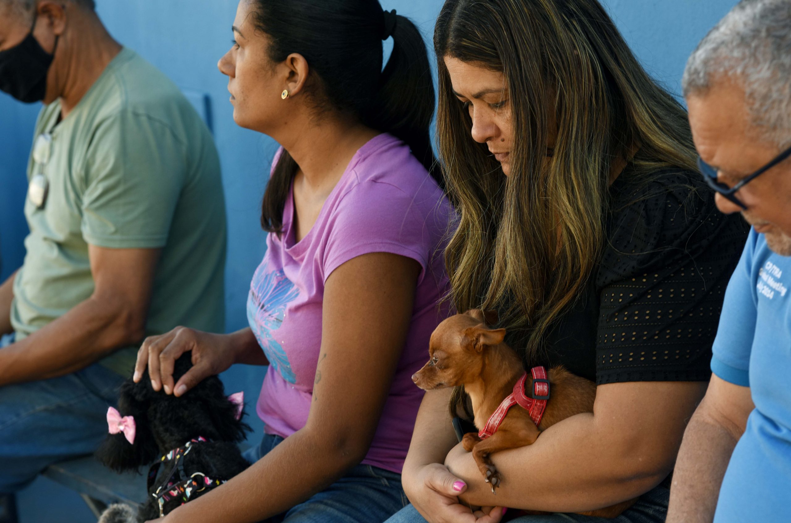 Clínica Veterinária Móvel vai ficar no Campo Grande até 24 de novembro