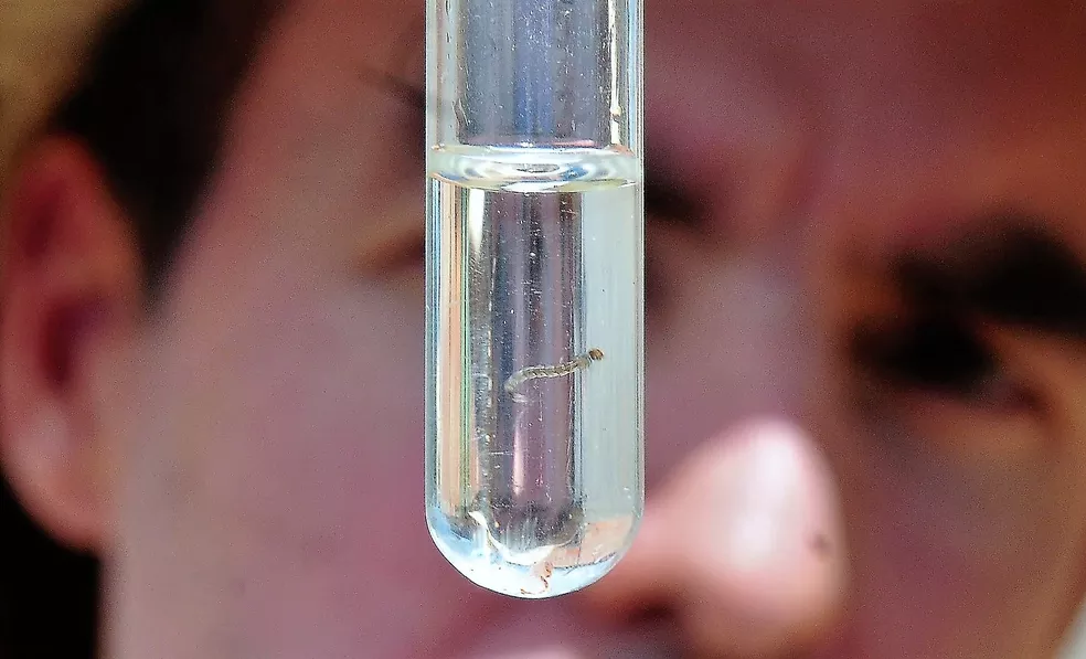 Louveira confirma primeira morte por dengue em 2024