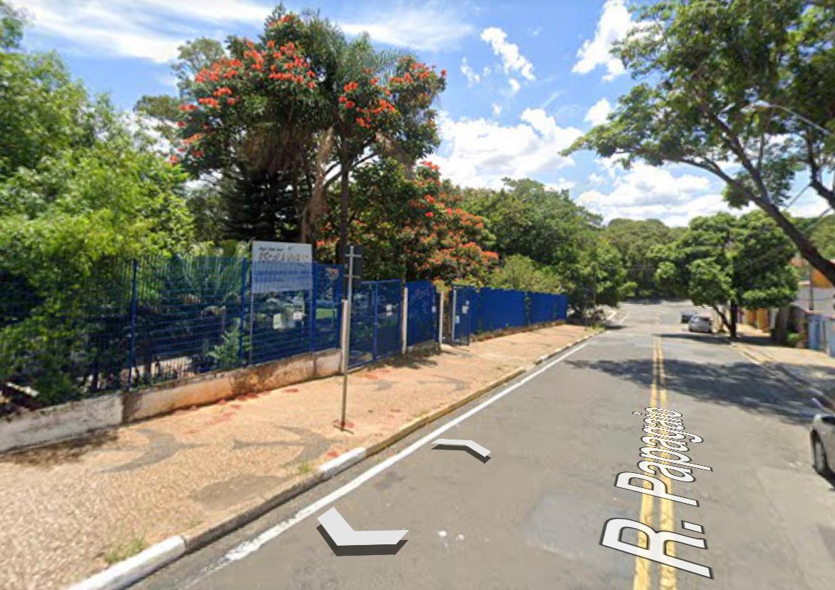 Árvore cai e derruba alambrado de escola em Campinas 