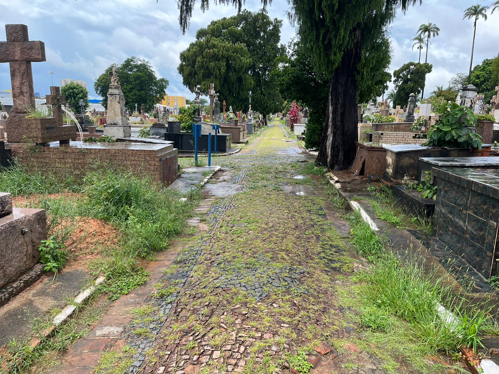 Cemitério da Saudade terá reforma no muro, enquanto parte interna sofre com abandono