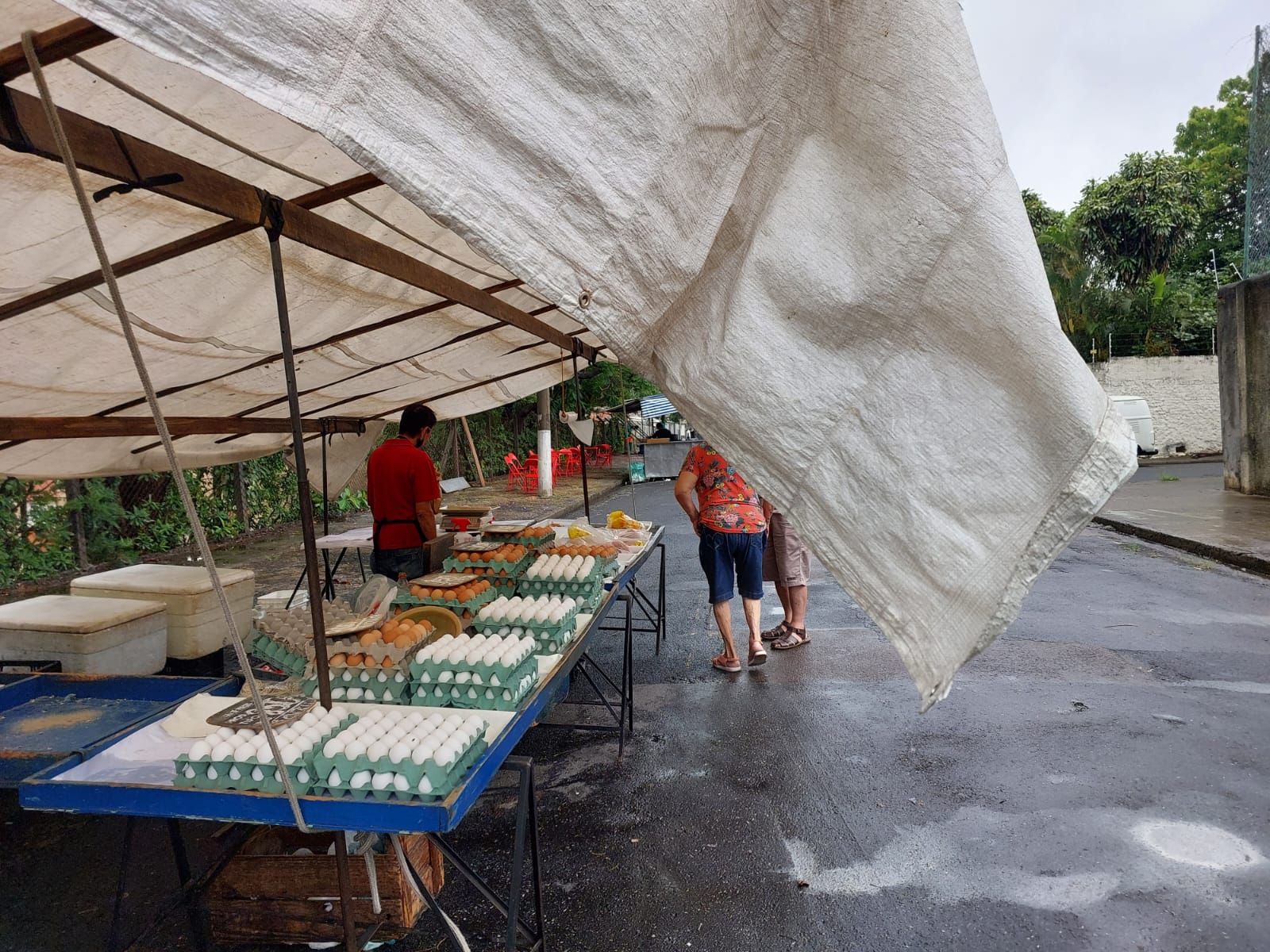 Após seguidas altas, preços de hortaliças registram estabilidade, em Campinas