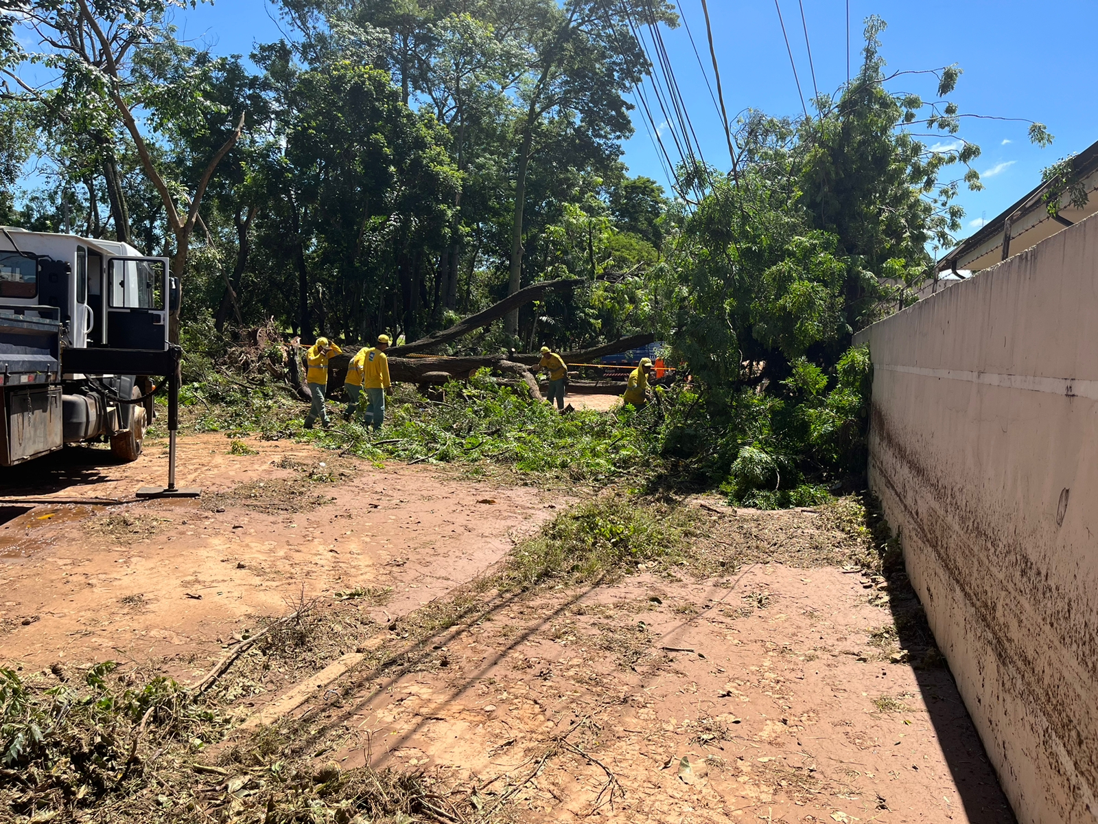 Árvore cai em rede elétrica e deixa casal de idosos preso em casa