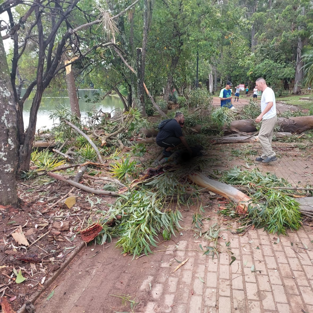 IC pede apoio da Unicamp para concluir laudo da morte de Isabela