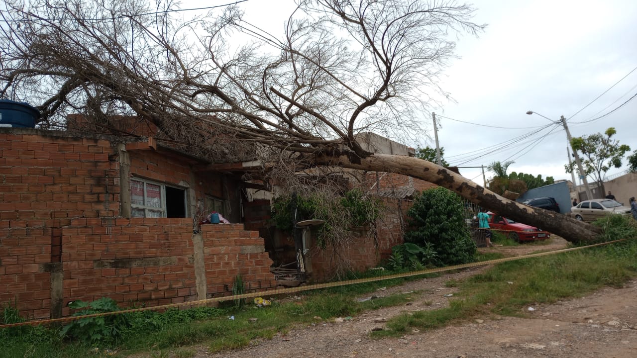 Árvore cai sobre casa no Jardim Itaguaçu, em Campinas
