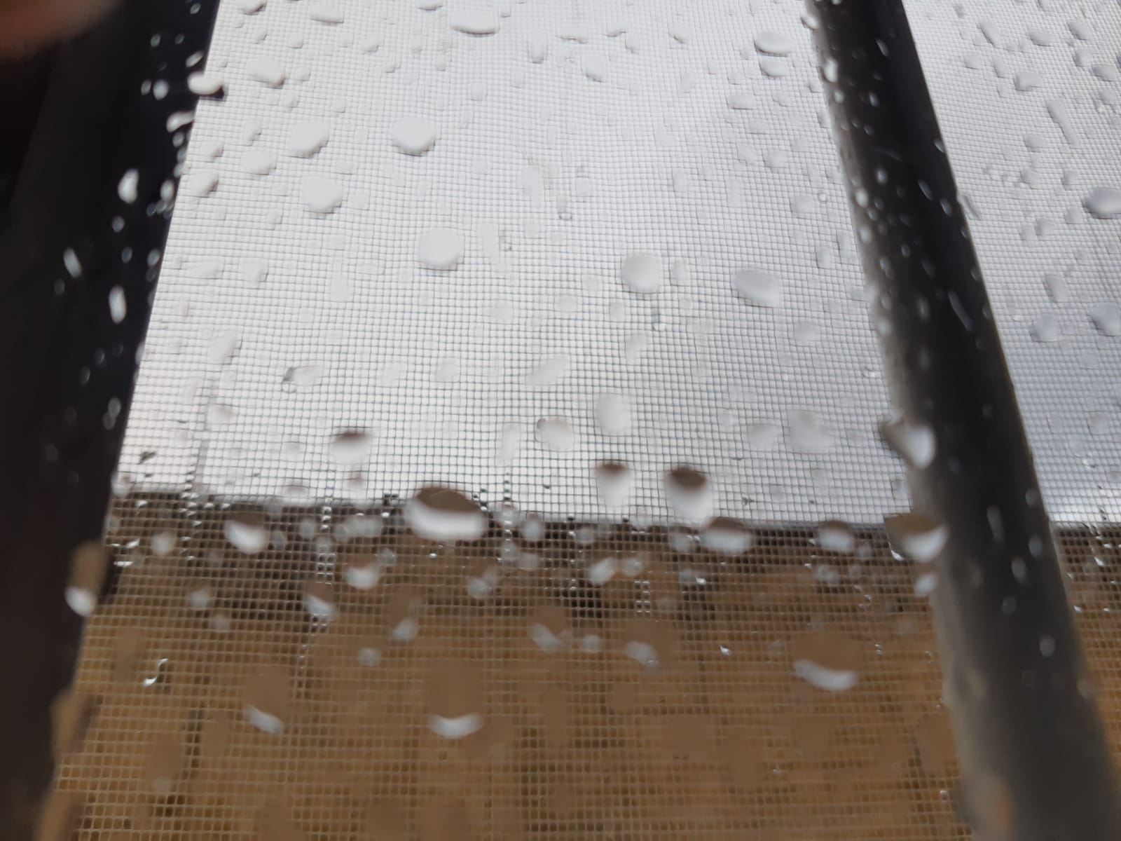 Campinas pode ter temporal e ventos de até 50km/h nesta quinta-feira 