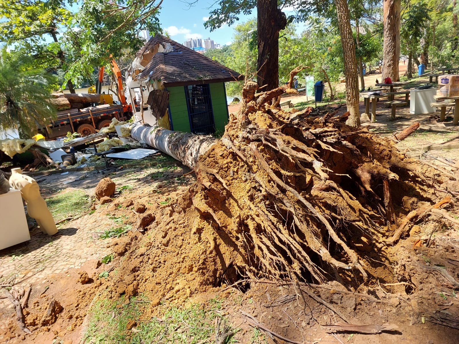 Seguem trabalhos de limpeza de áreas mais afetadas pela chuva em Campinas