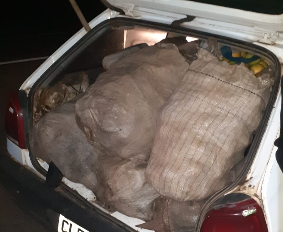 Dupla é presa após furtar 700kg de laranja de fazenda em Conchal