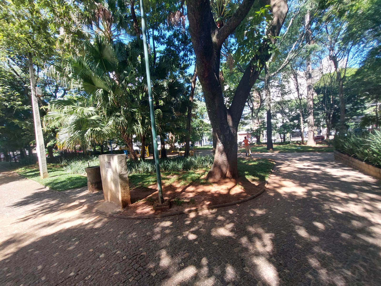 Praças arborizadas seguem com movimentação intensa