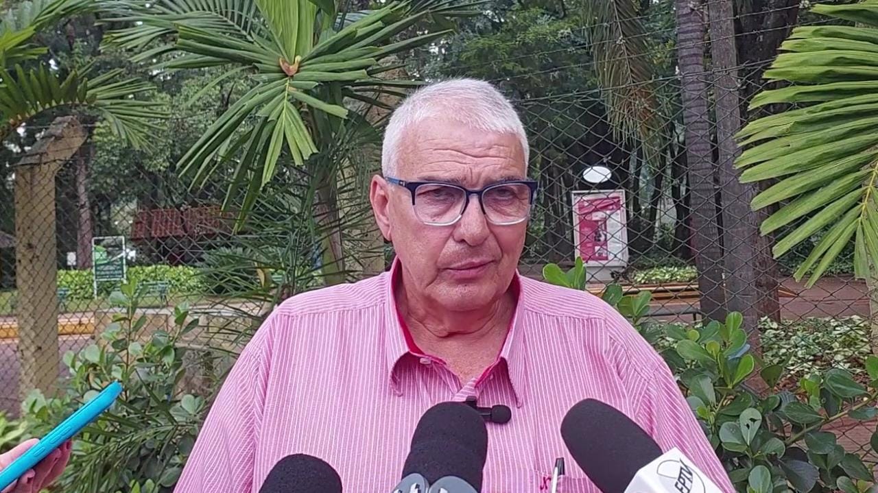 Secretário afirma que árvore não indicava risco de queda