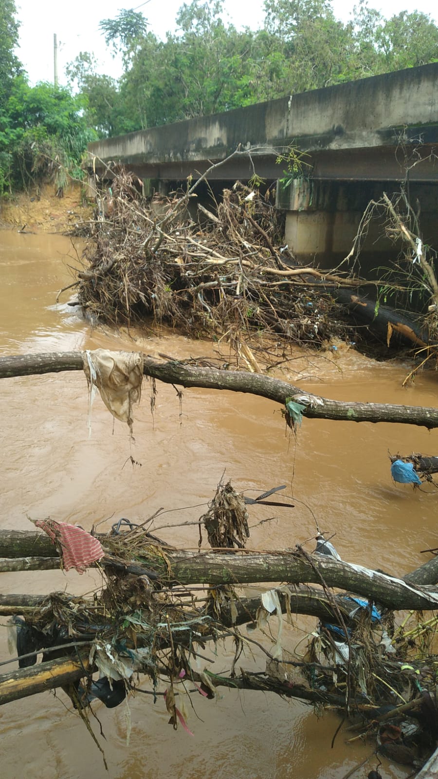 Chuvas danificam ponte e moradores improvisam passarela