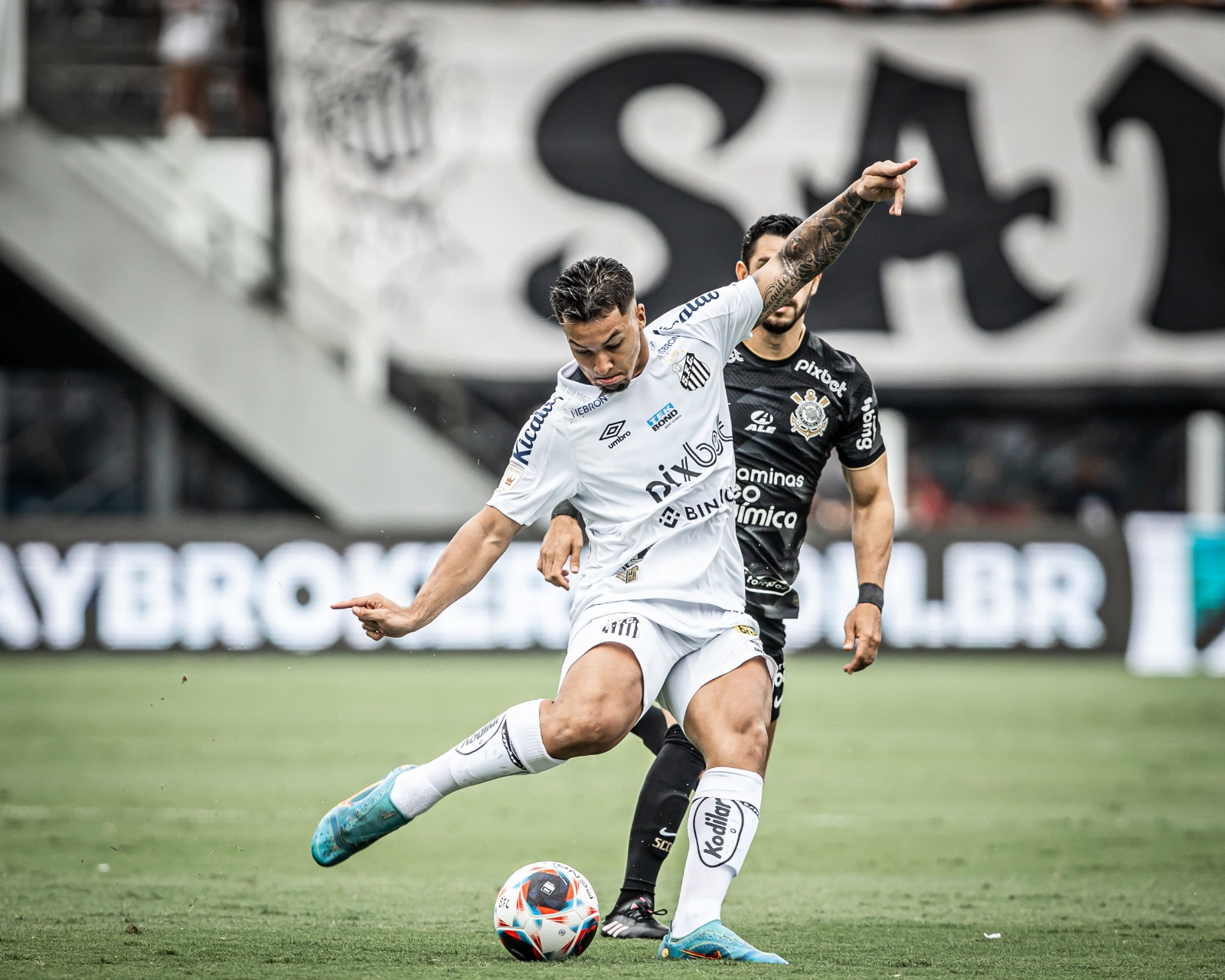 Técnico Odair Hellmann admite preocupação com o Santos no Brasileirão