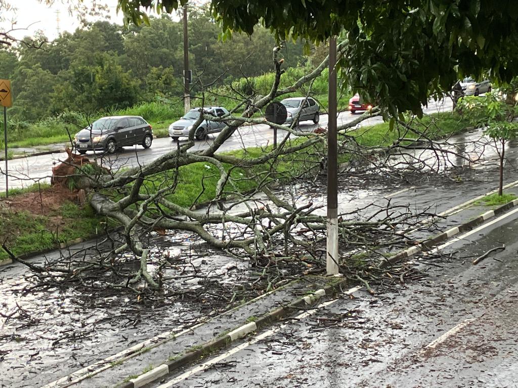 Campinas entra em Estado de Atenção após fortes chuvas