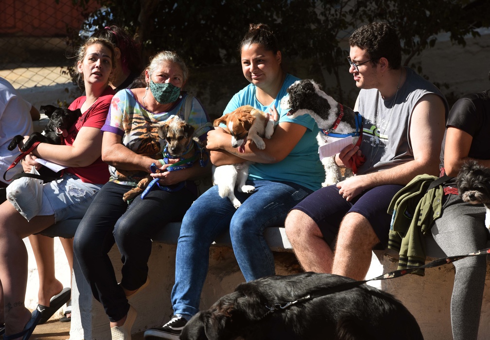 Clínica Veterinária Móvel vai ficar no Campo Belo até dia 23 de março