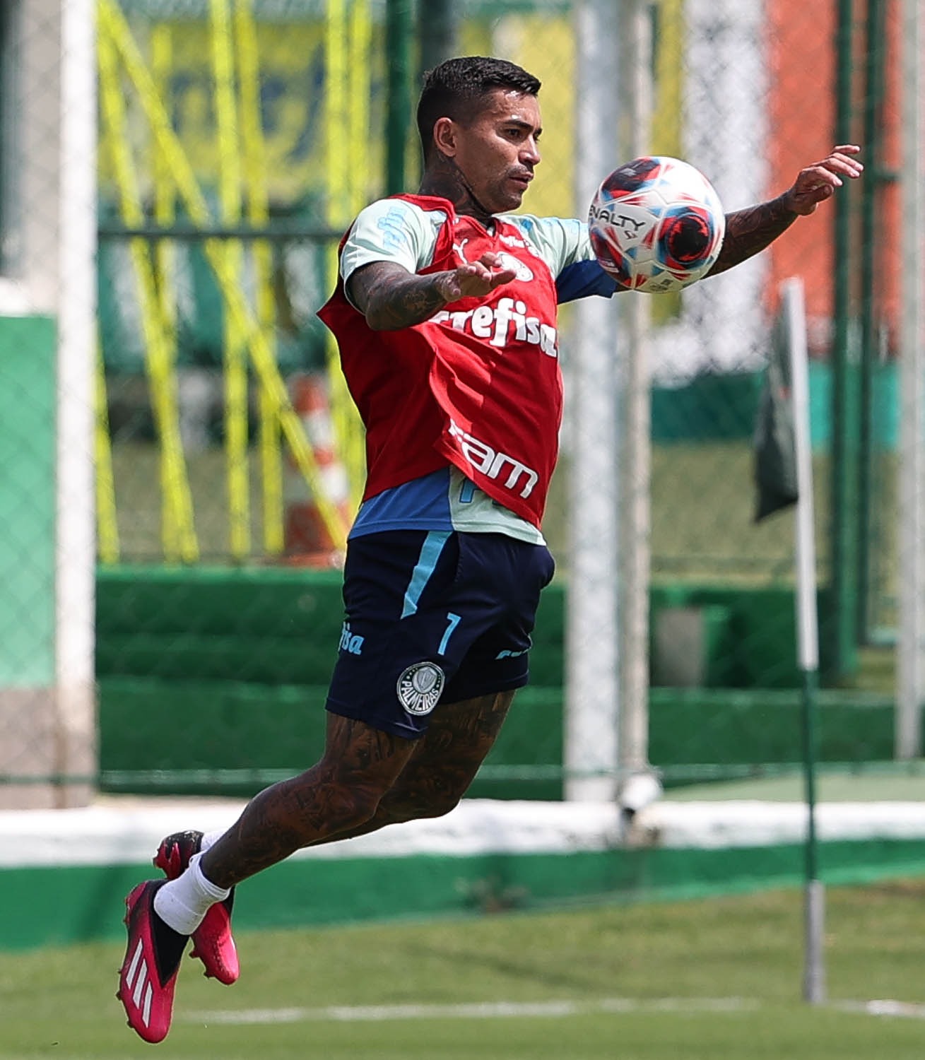 Com dez finais no currículo, Dudu busca o primeiro gol no Palmeiras em 2023