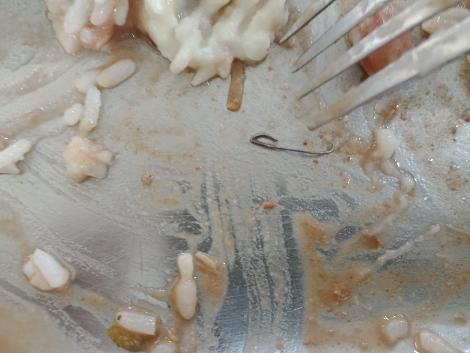 Alunos acham pedras, grampo e até insetos no bandejão da Unicamp