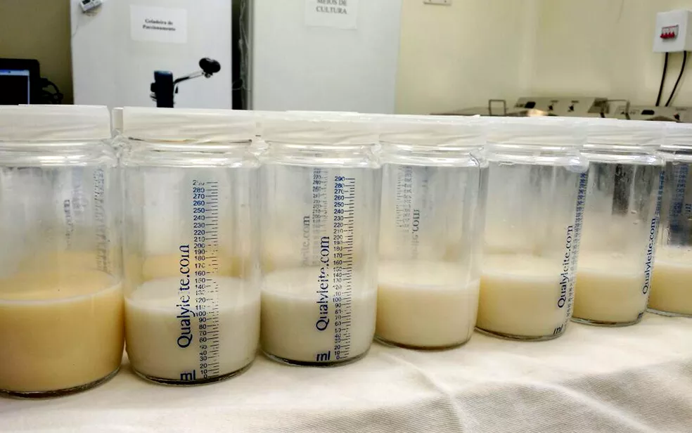 Banco de leite materno realiza campanha para aumentar estoque
