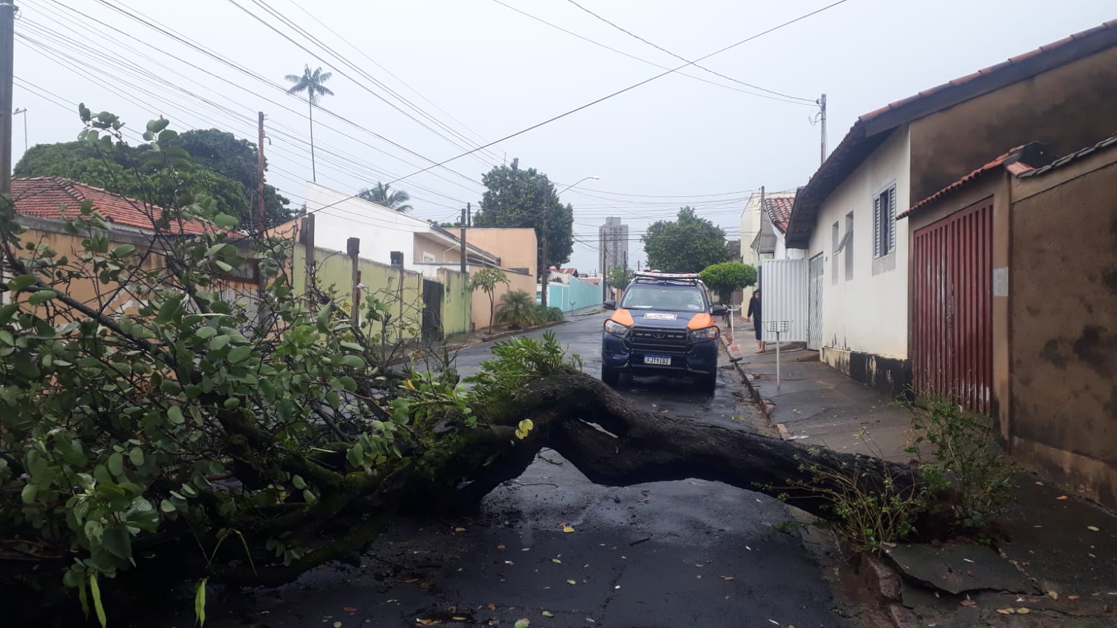 Chuva afeta setor de Saúde de Limeira, causa alagamentos e queda de árvores