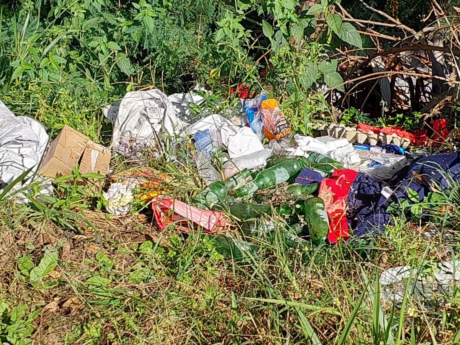 Região Metropolitana de Campinas já soma 18 mortes por dengue