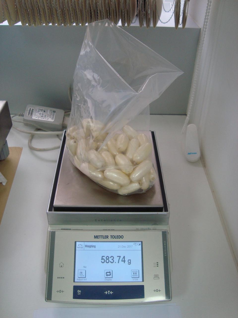 Pessoas que transportavam drogas a mando de quadrilha recebiam até €5 mil, diz PF