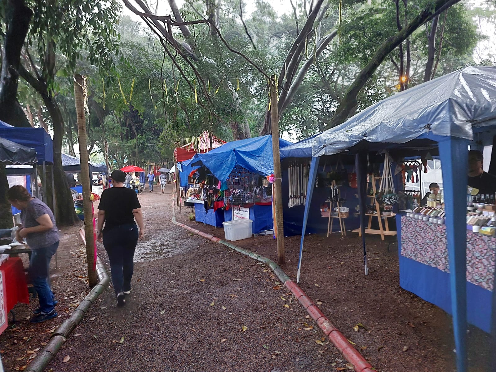 Mesmo com chuva, festa do ‘Boi Falô’ é realizada no distrito de Barão Geraldo