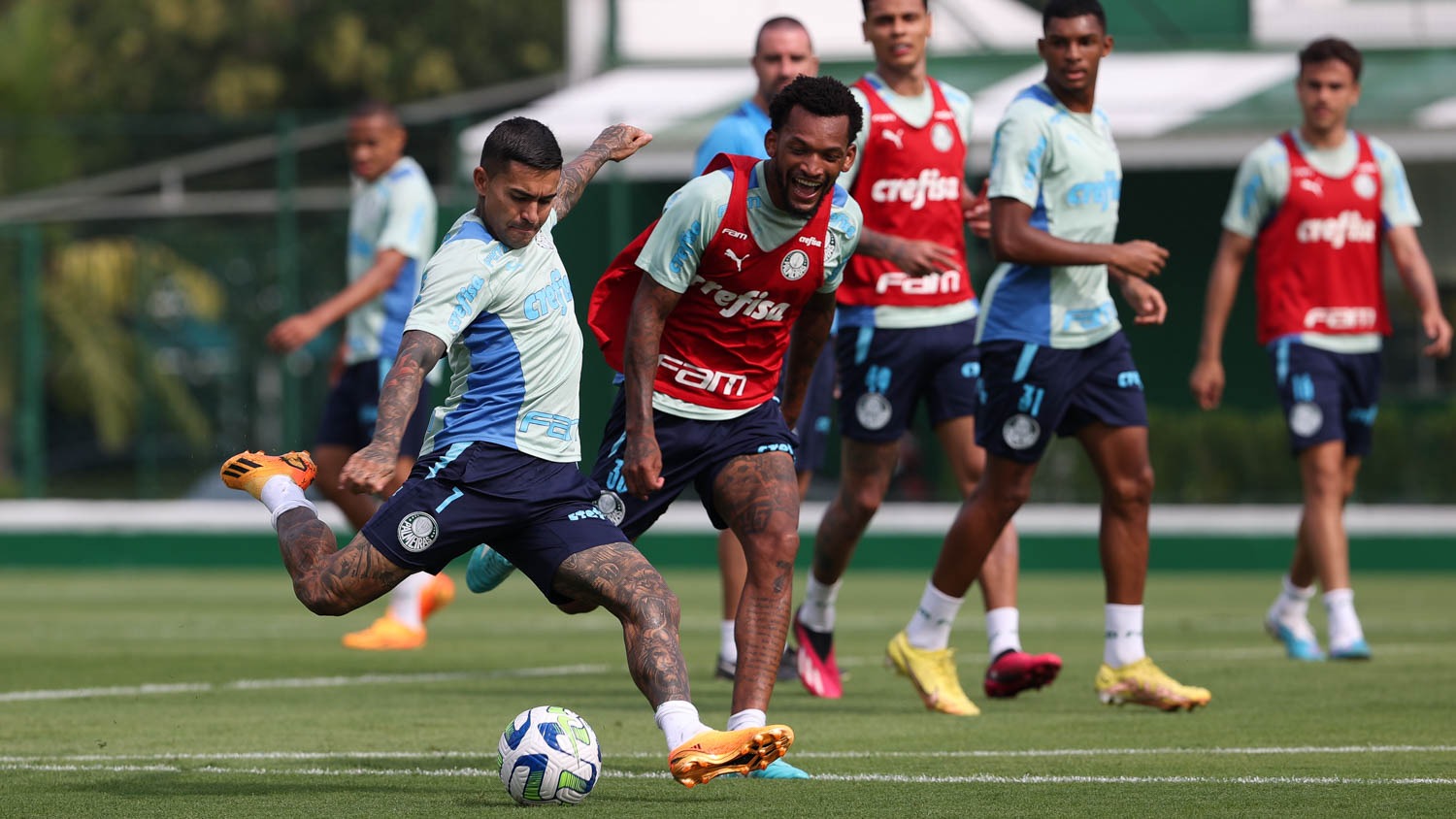 Abel Ferreira não confirma, mas Palmeiras pode poupar jogadores nesta noite contra o Grêmio