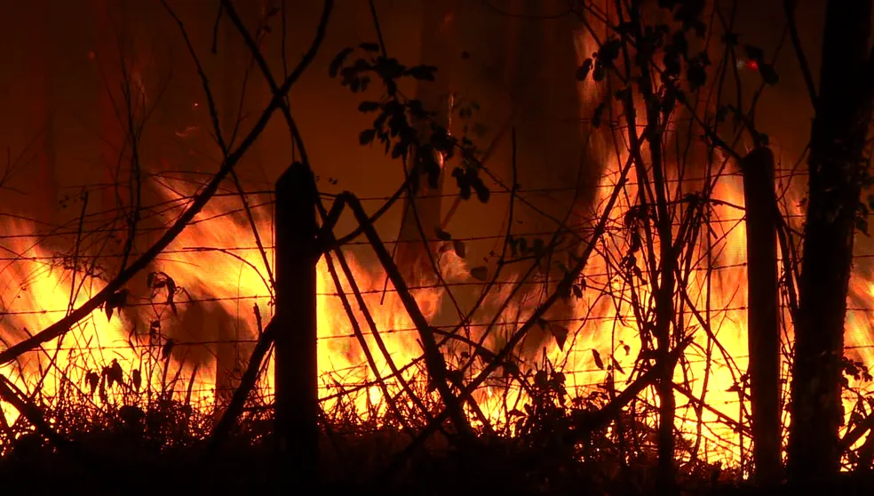 Campinas tem aumento de 66% no número de queimadas em seis dias