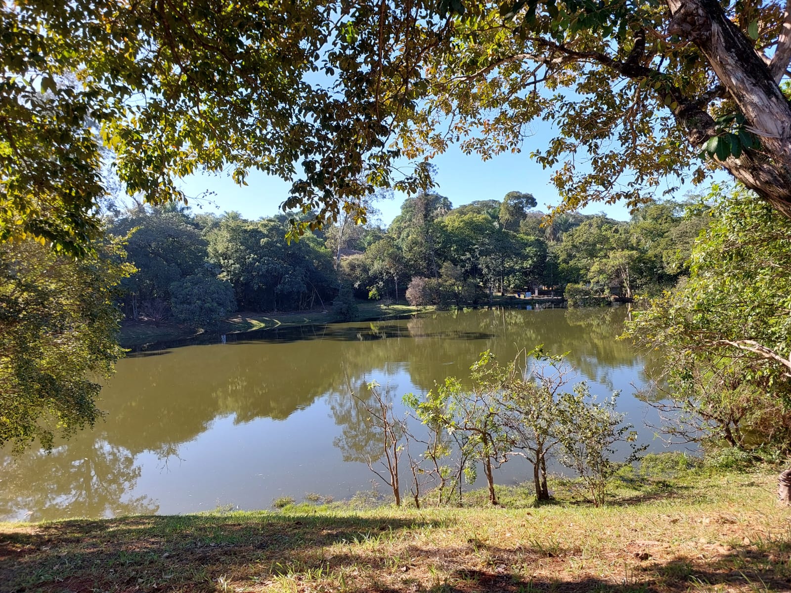 Prefeitura fecha mais três parques em Campinas por causa das chuvas