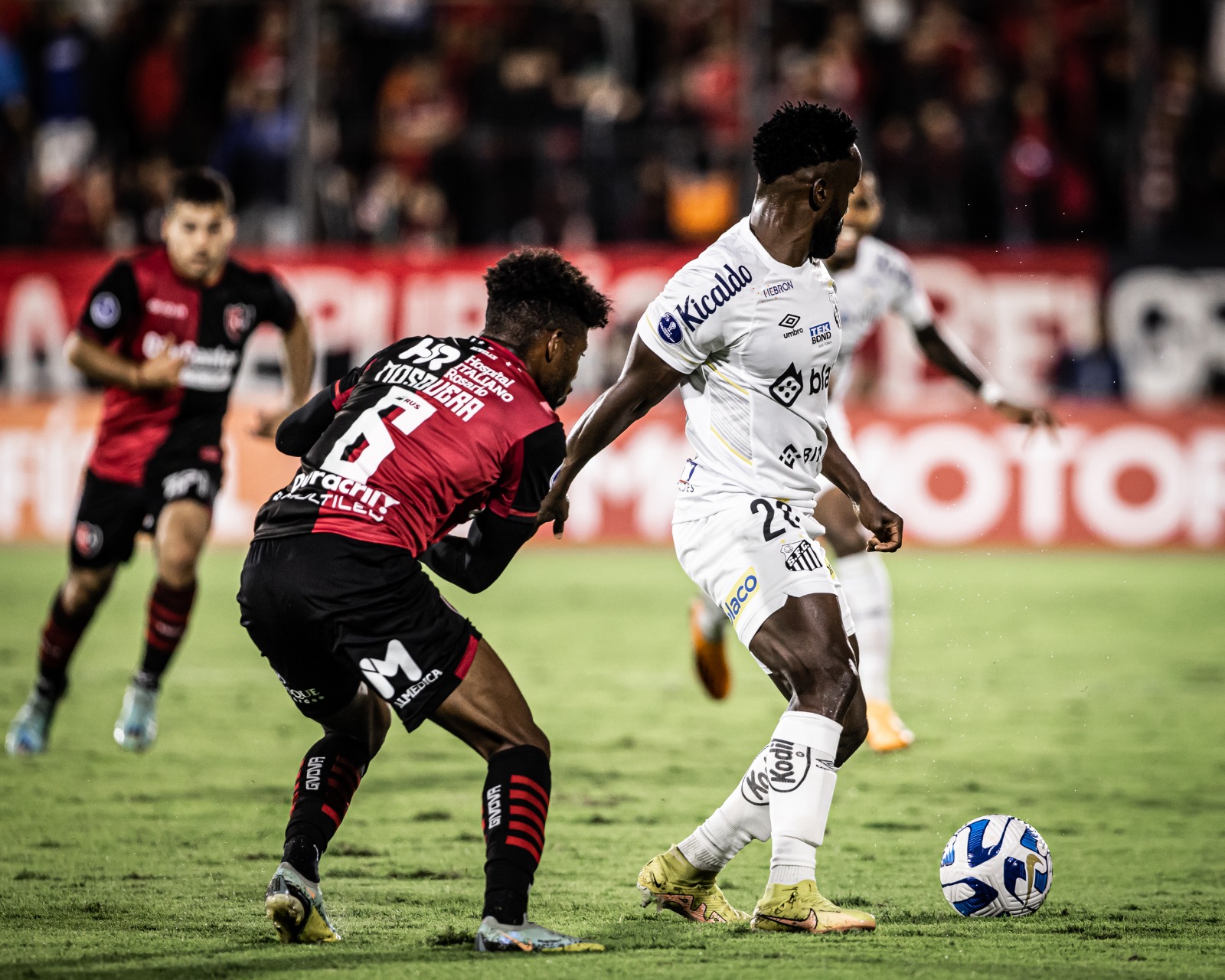 Odair Hellmann elogia atuação do Santos e se anima para sequencia do Brasileirão