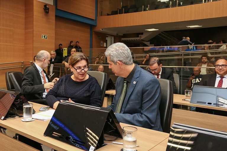 Câmara vota projeto que obriga clínicas avisar casos de maus-tratos a animais