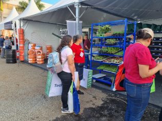 Hortitec lança iniciativa inédita para reaproveitamento do plástico agrícola