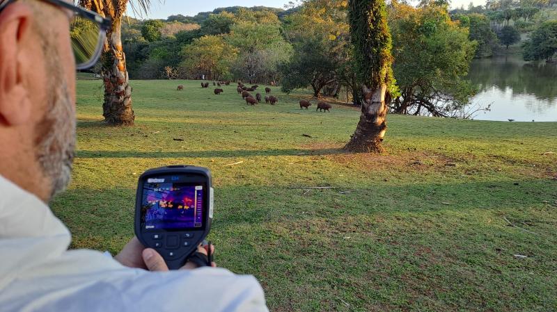 Maculosa: mapeamento segue e resultados de laudos ainda não chegaram