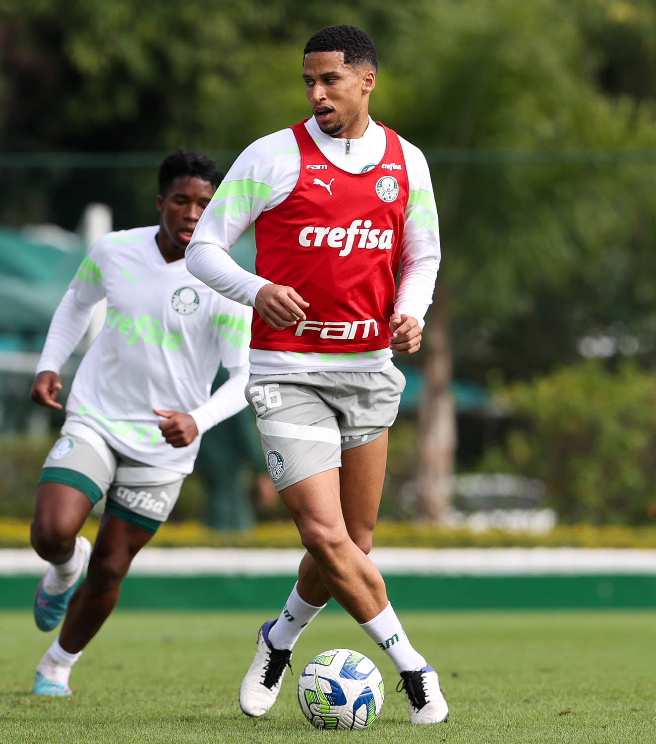 Palmeiras poderá contar com o zagueiro Murilo, recuperado de lesão