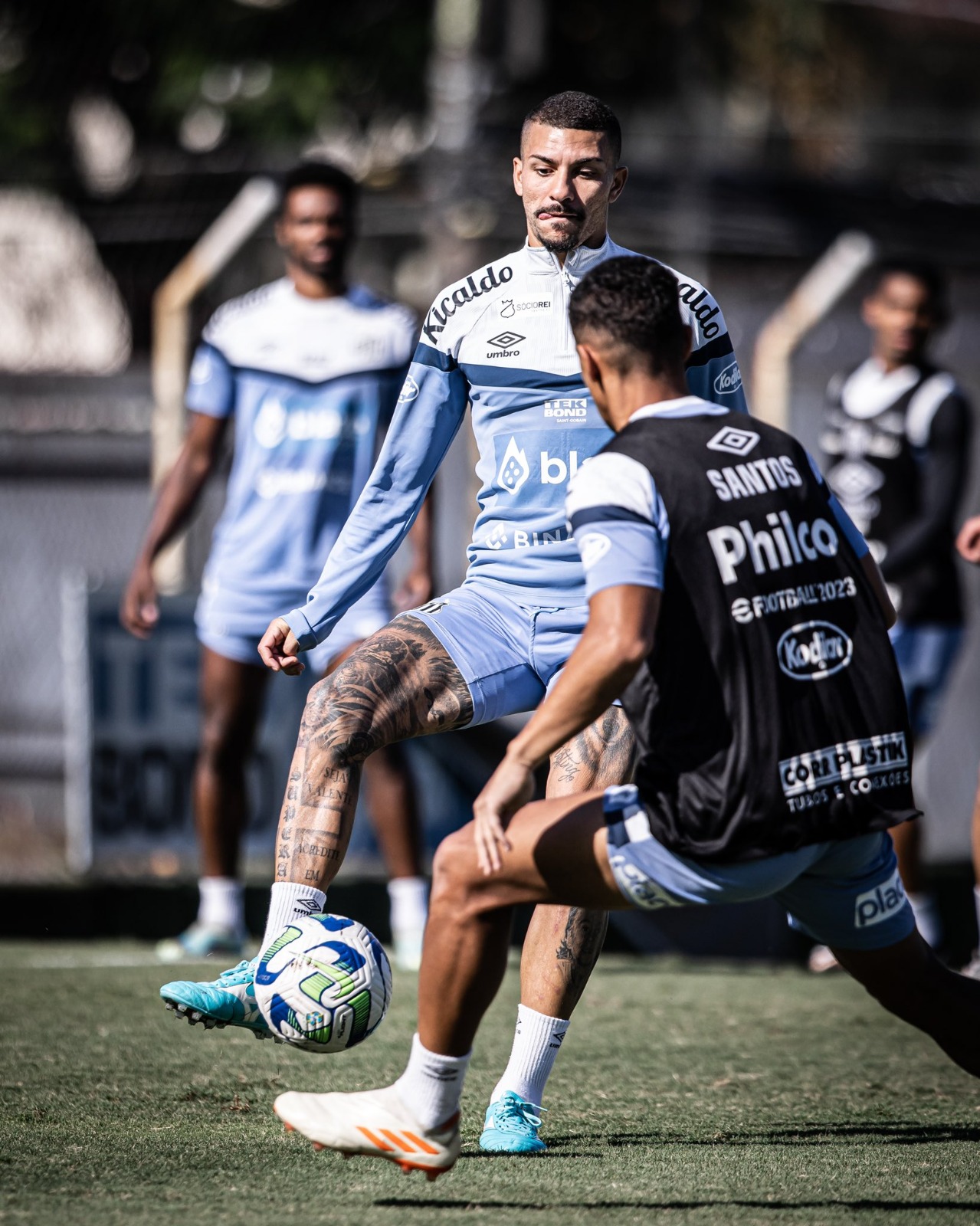 Técnico Odair Hellmann comemora número pequeno de desfalques no Santos