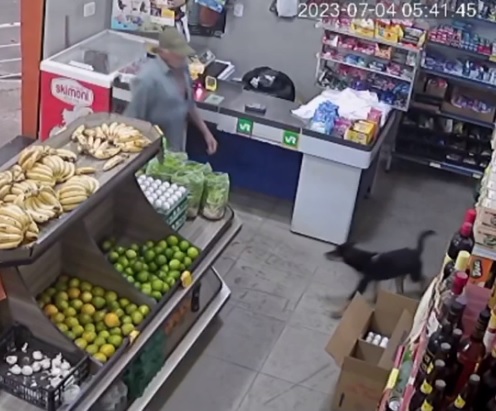 “Cão ladrão” furta celular em apenas 15 segundos; VÍDEO