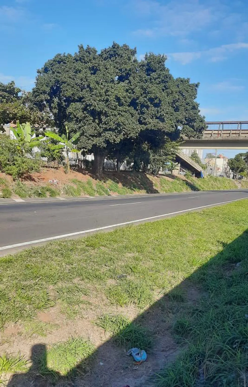 Corpo de homem é encontrado no canteira central de rodovia em Americana