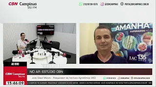 Desenvolvimento do 1º café naturalmente descafeinado do Brasil 